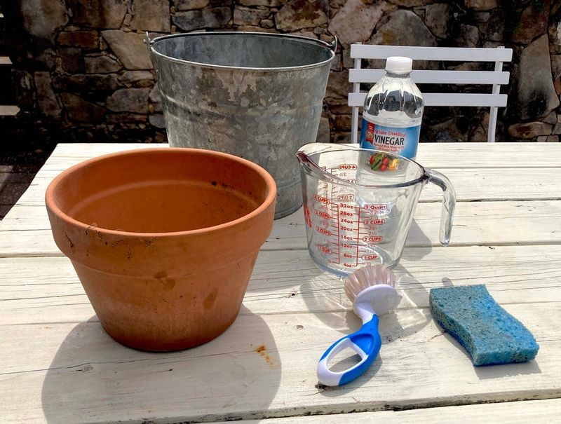 Clean The Pot And Remove Debris