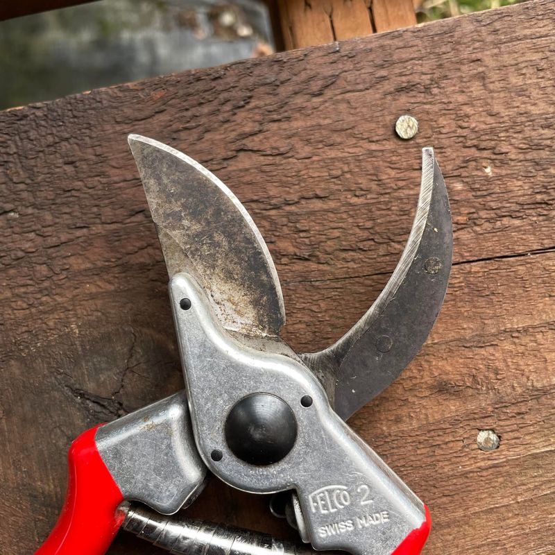Clean Tools Before Moving Between Plants Clean Tools Before Moving Between Plants