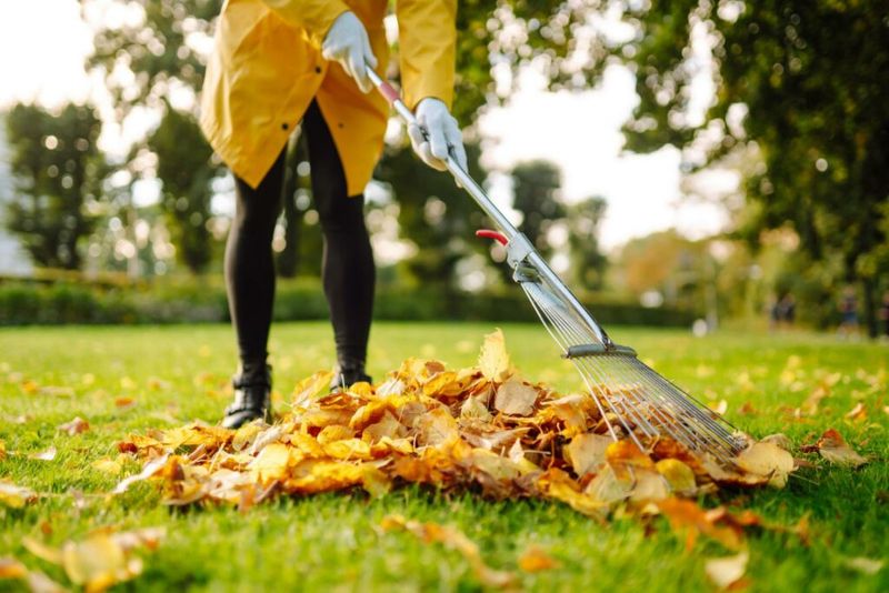 Clean Up And Watch For Garden Pests And Diseases