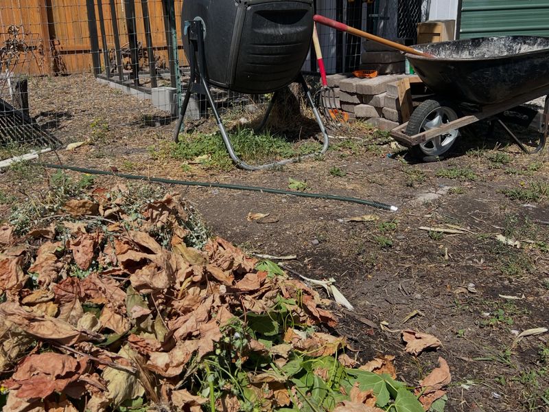 Clean Up Around Trash And Compost Areas