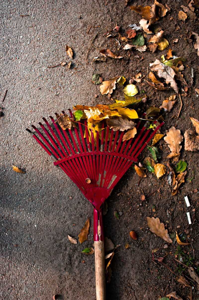 Clean Up Fallen Leaves And Old Flowers