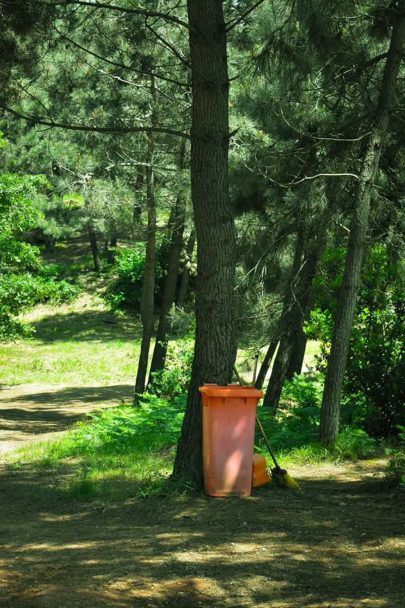 Clean Vegetation Only, No Trash Or Tires