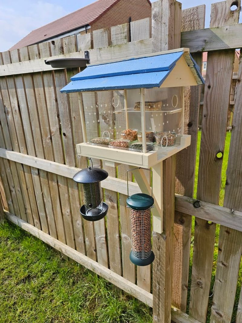 Clean Your Feeders Every Few Weeks Clean Your Feeders Every Few Weeks