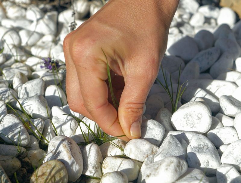 Cleaning The Surface Helps Prevent New Growth