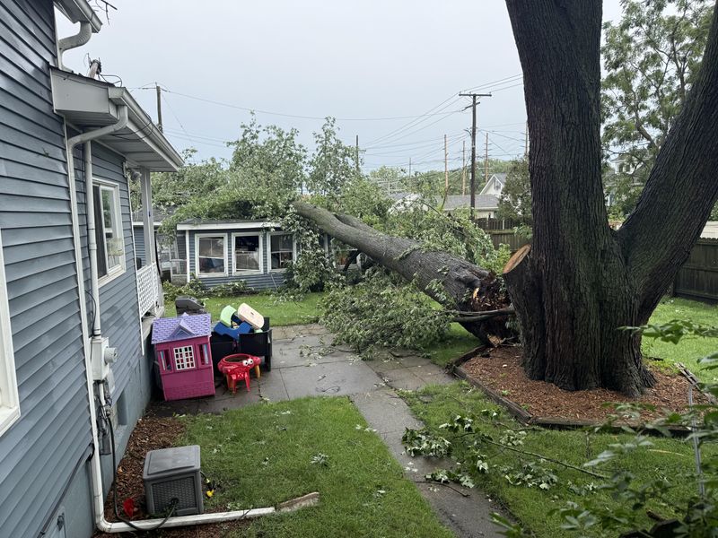 Cleanup Costs Depend On The Damage Left Behind