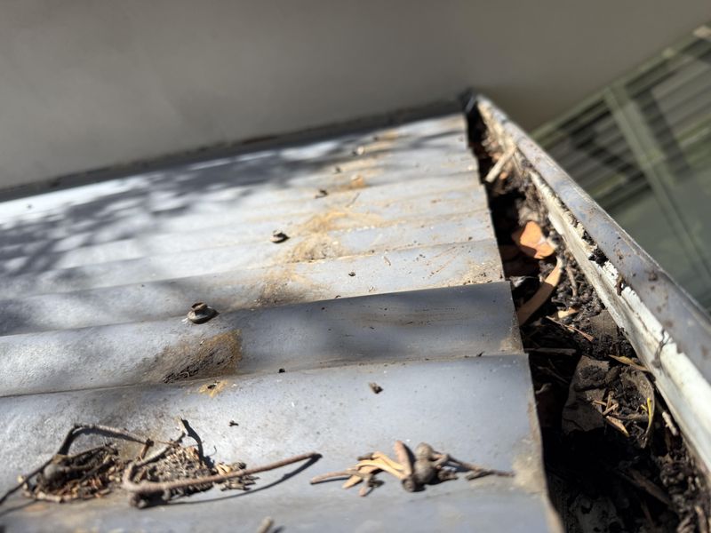 Clear Gutters And Downspouts Completely Clear Gutters And Downspouts Completely
