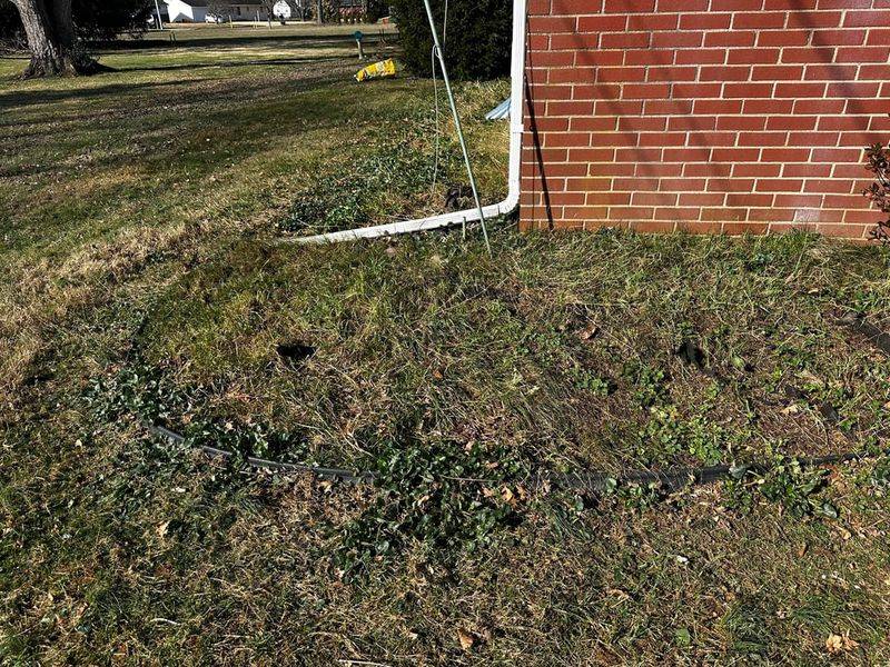 Clear Leaves Before They Smother The Turf Clear Leaves Before They Smother The Turf