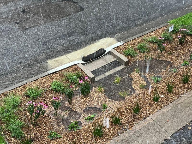 Clear Leaves, Debris, And Sediment From Water Entry Areas Clear Leaves, Debris, And Sediment From Water Entry Areas