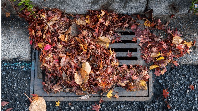 Clear accessible surface drains safely