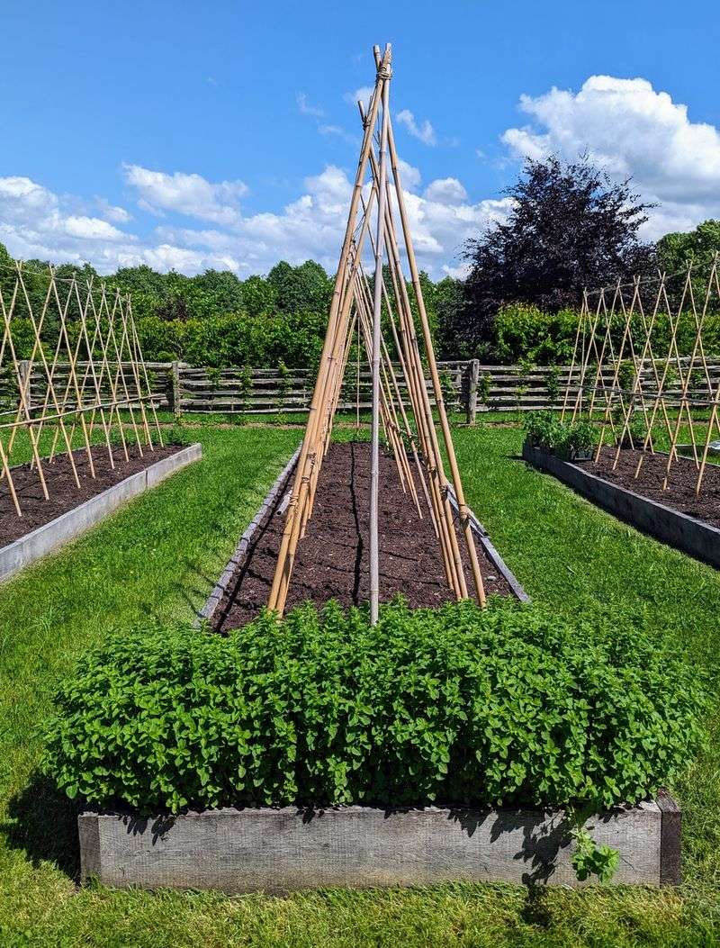 Clearing Beds Early Helps Fall Crops Clearing Beds Early Helps Fall Crops