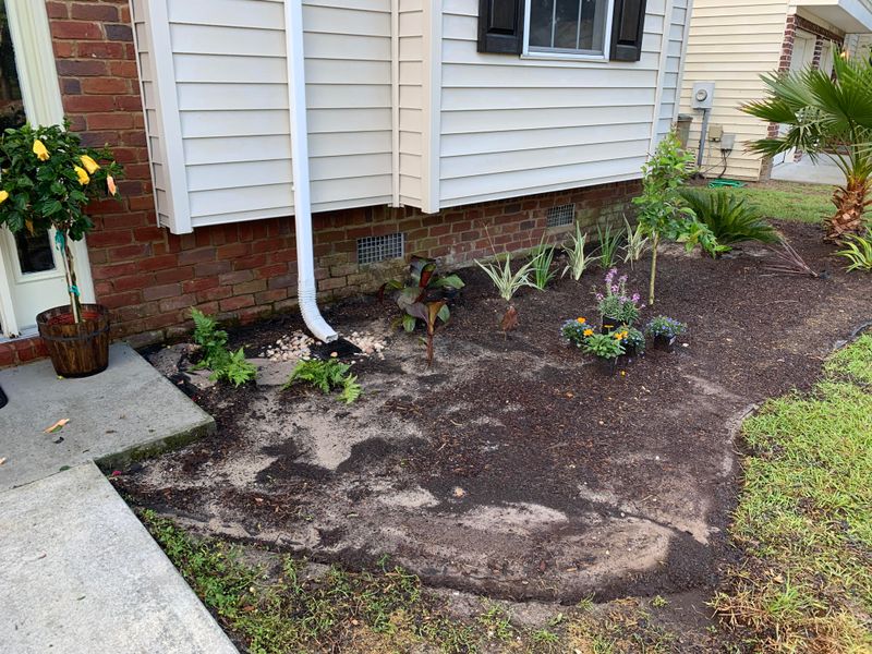 Clogged Gutters Overflow Straight Into Garden Beds Clogged Gutters Overflow Straight Into Garden Beds