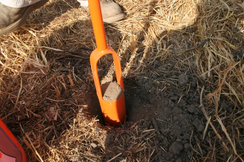 Collect A Representative Soil Sample