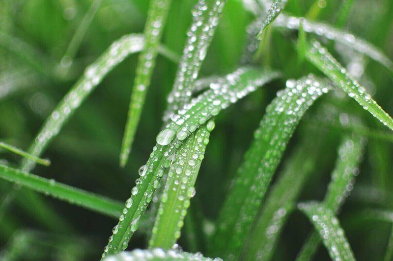 Colorado's September Weather And The Moisture Gap Colorado's September Weather And The Moisture Gap