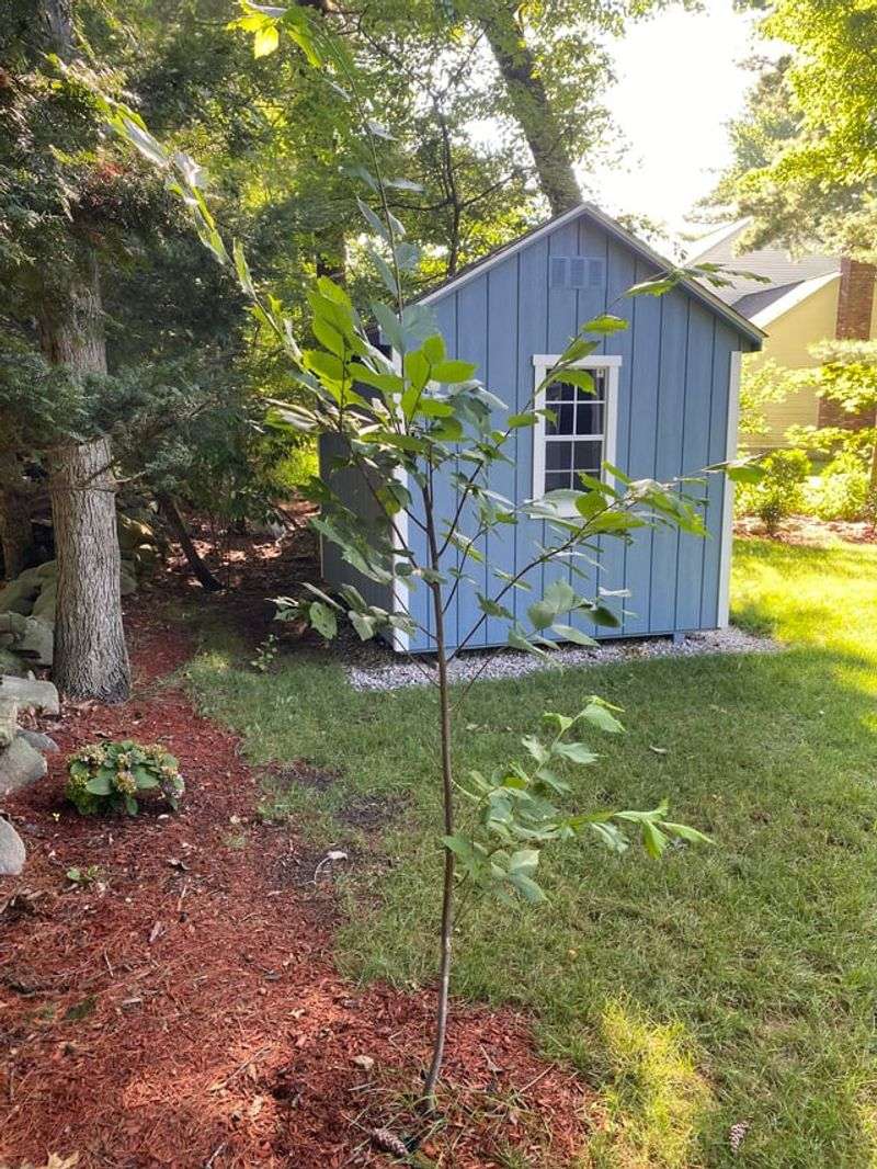 Common Missteps With Autumn Planting