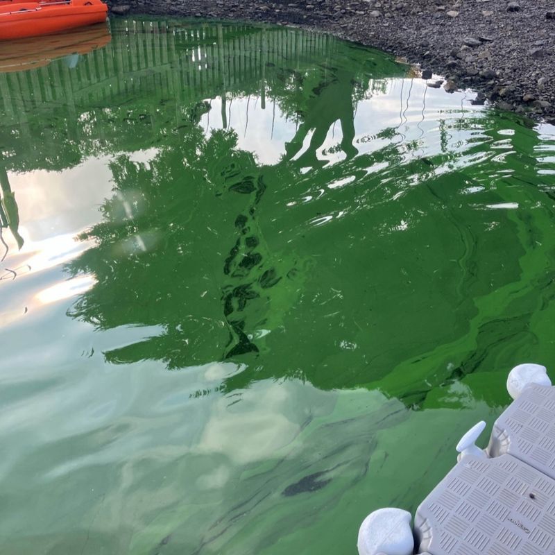 Common Mistakes With Copper Treatments