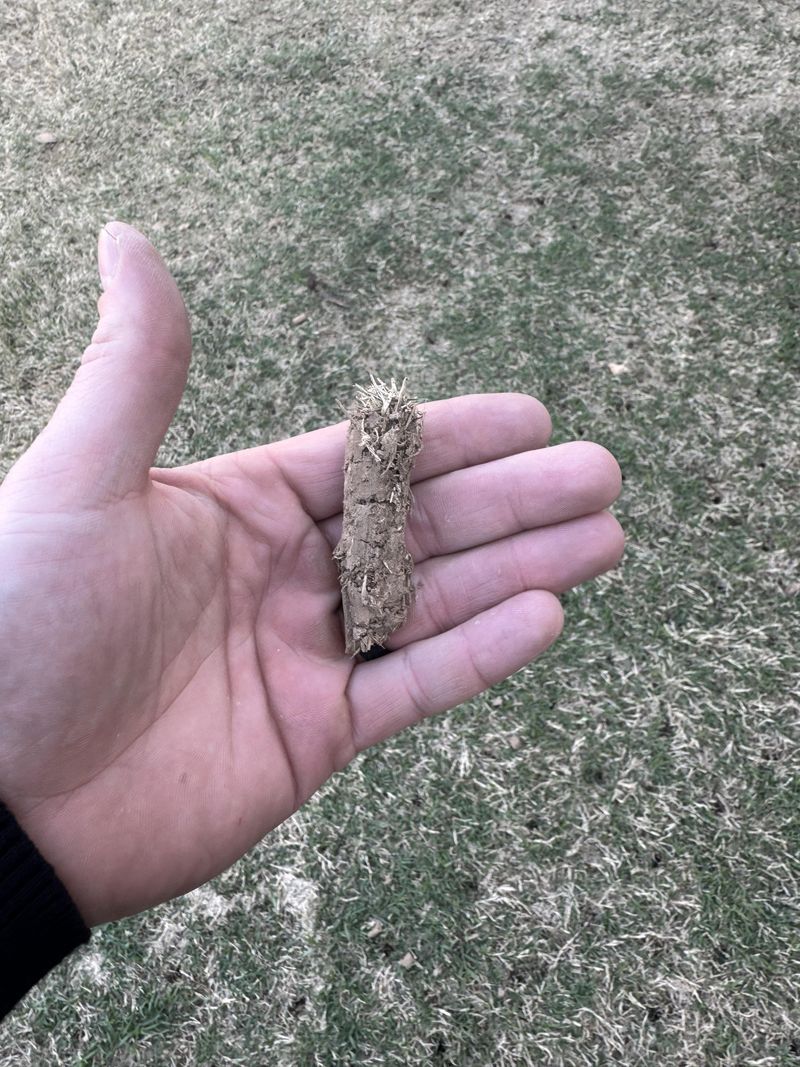 Compacted Piedmont Soil Can Slow Root Growth Compacted Piedmont Soil Can Slow Root Growth