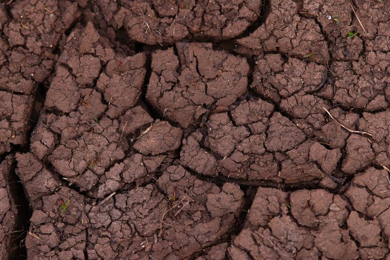 Compacted Soil Blocking Water And Air