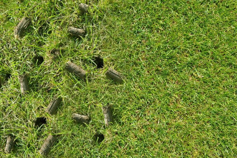 Compacted Soil Is A Good Reason To Aerate