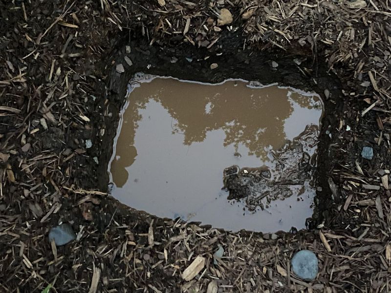 Compacted Soil Makes Runoff Worse Compacted Soil Makes Runoff Worse