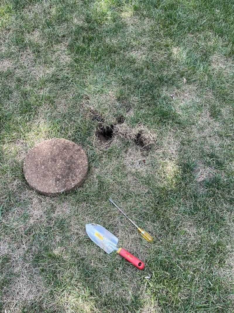 Compacted Soil Stops Roots From Growing Strong