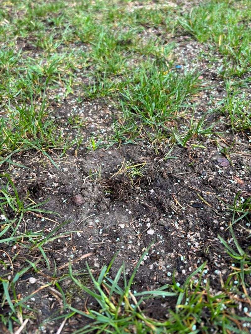 Compacted Soil Wastes Good Seed