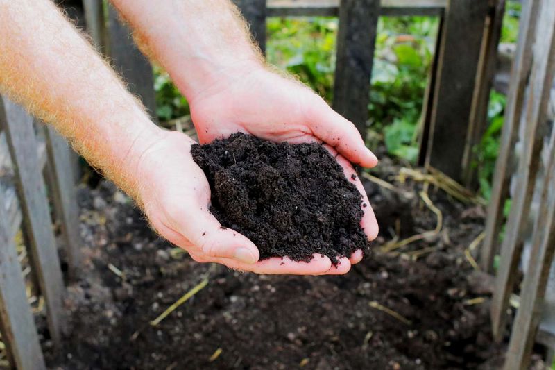 Compost-Based Mulch Compost-Based Mulch