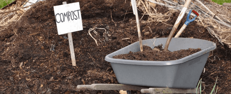 Compost Feeds Soil While It Covers Compost Feeds Soil While It Covers