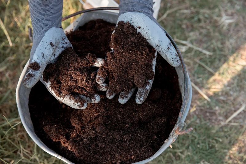 Compost Improves More Than Fertility