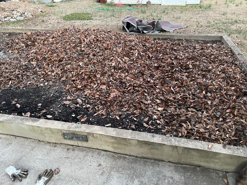 Compost Leaves Instead Of Stacking Them Compost Leaves Instead Of Stacking Them