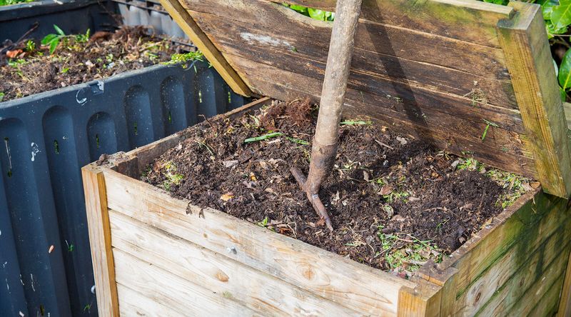 Compost Management Can Reduce Yellowjackets
