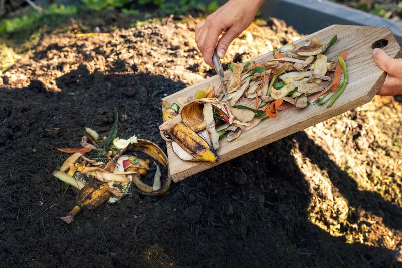 Compost Piles With Food Scraps