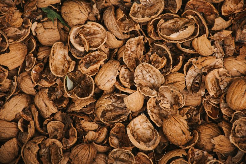 Composting Husks And Shells The Smart Way