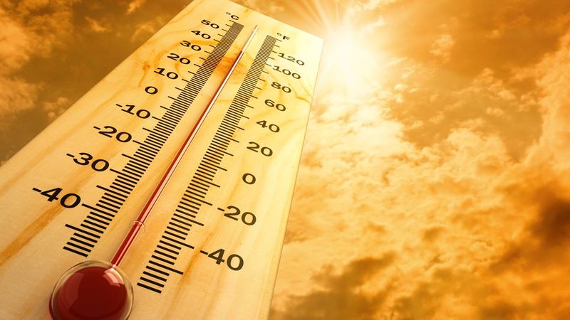 Connecticut's July Humidity Is Not Your Bulb's Friend
