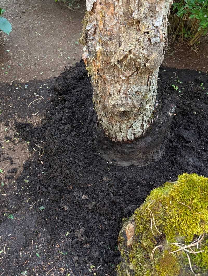 Constant Moisture Can Damage Bark