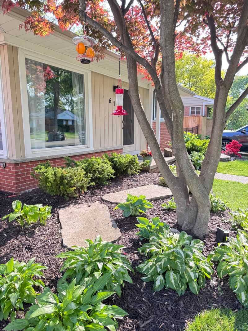 Construction Or Yard Changes Can Disrupt Their Routine