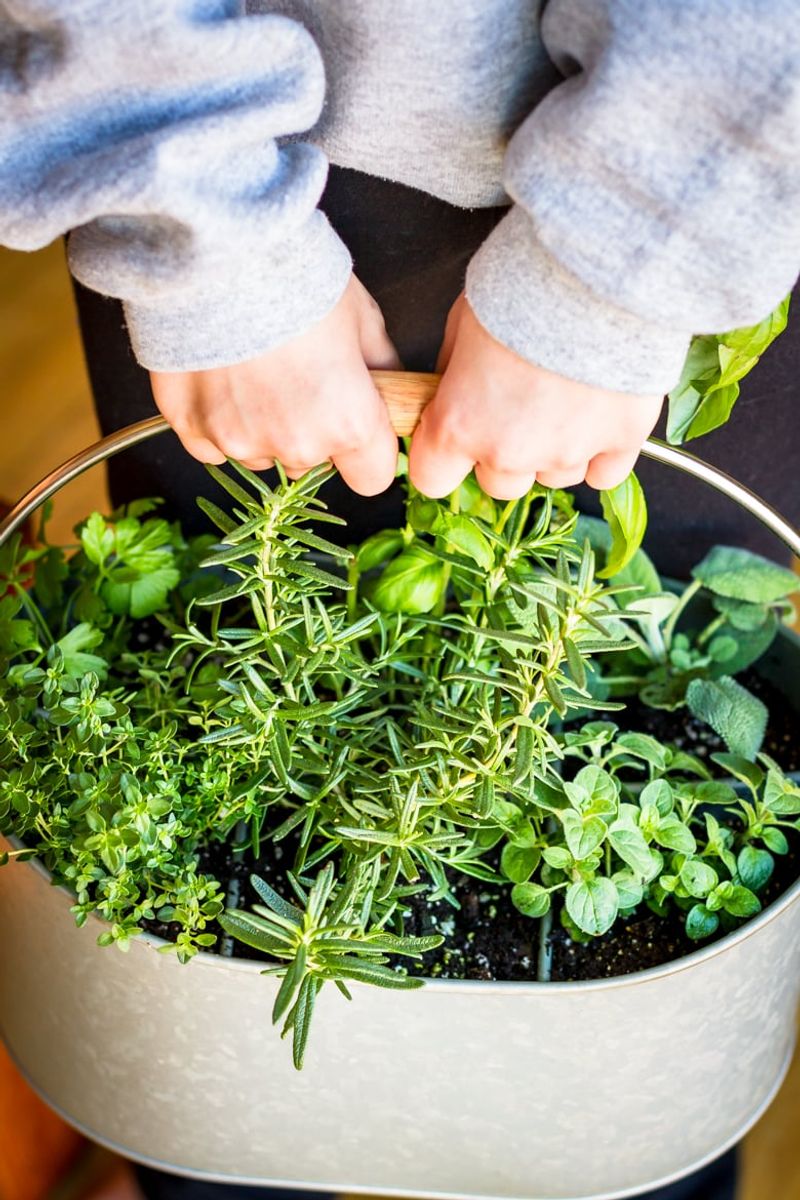 Containers Move Easier Than Garden Beds