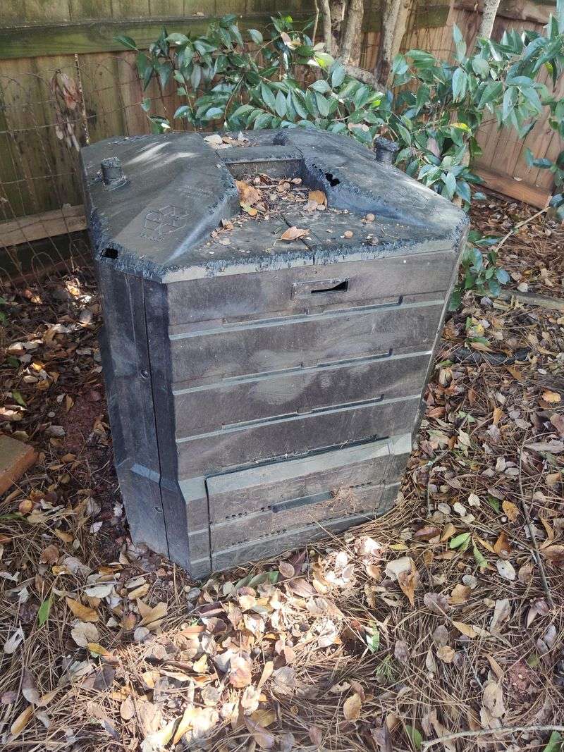 Cooked Foods And Greasy Scraps Create Problems In Backyard Bins Cooked Foods And Greasy Scraps Create Problems In Backyard Bins