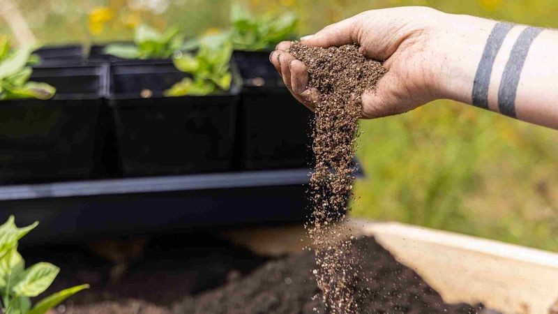 Cool Soil Comes Sooner Than You Think