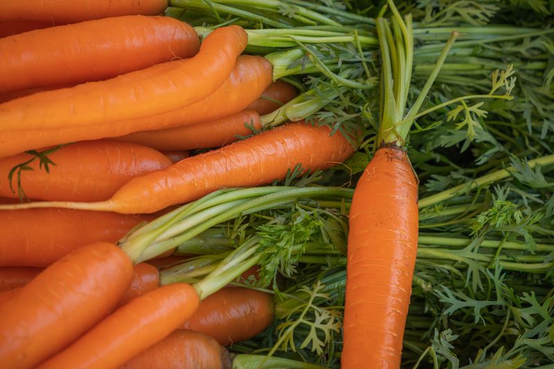 Cooler Days Bring Out The Best In Carrots