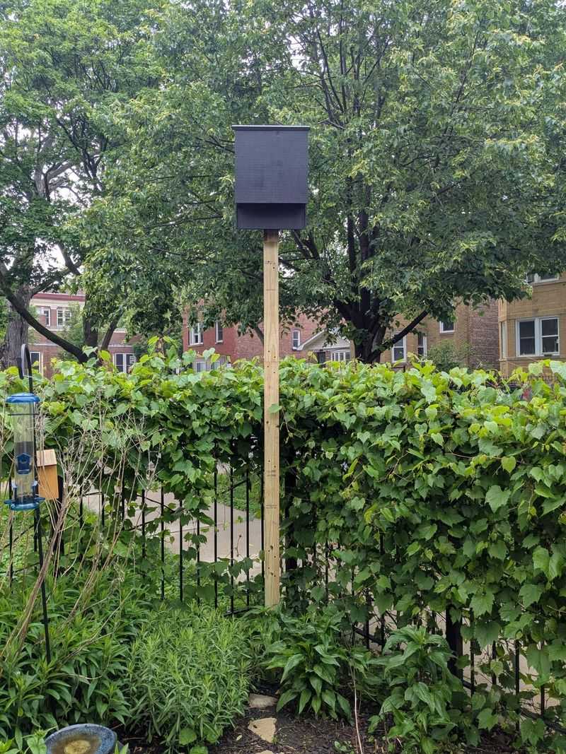 Cooler Months Give New Roosts A Head Start