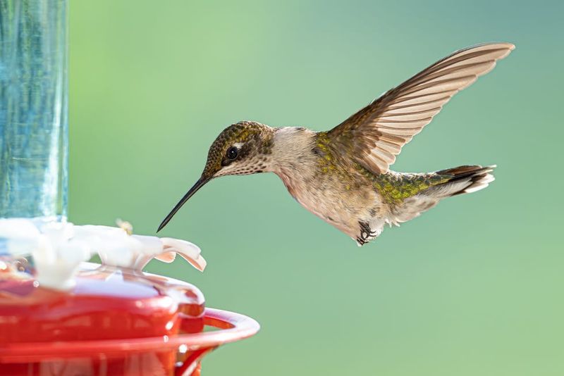 Cooler Weather Can Change Their Feeding Patterns