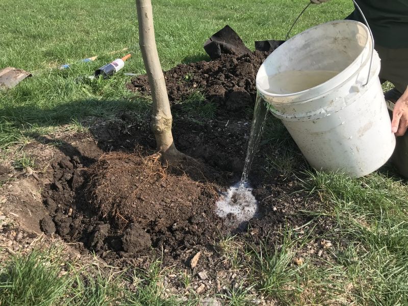 Cooler Weather Can Make Watering Seem Less Urgent Cooler Weather Can Make Watering Seem Less Urgent