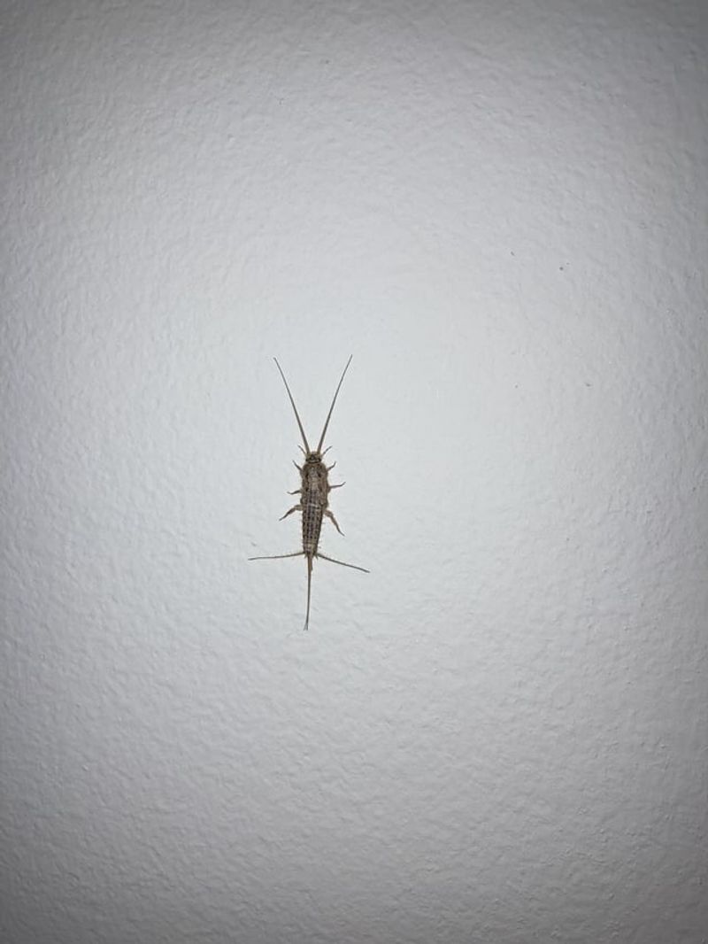 Cooling Weather Sends Them Indoors