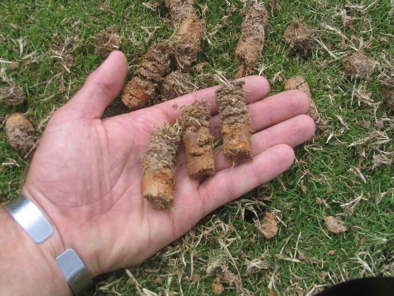 Core Aerate Compacted Soil