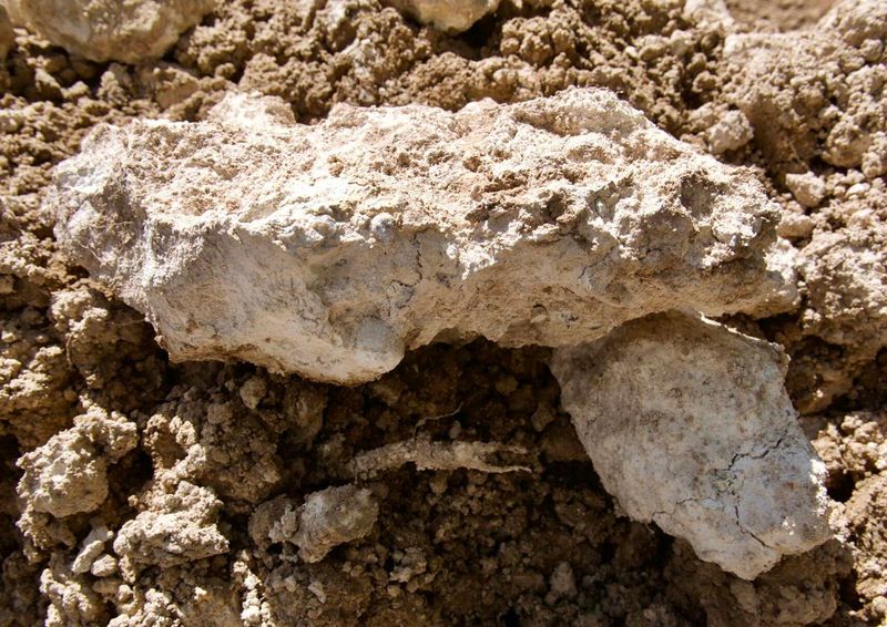 Correct caliche, compaction, and drainage selectively