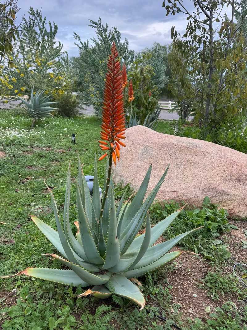 Correct the winter-watering premise Correct the winter-watering premise