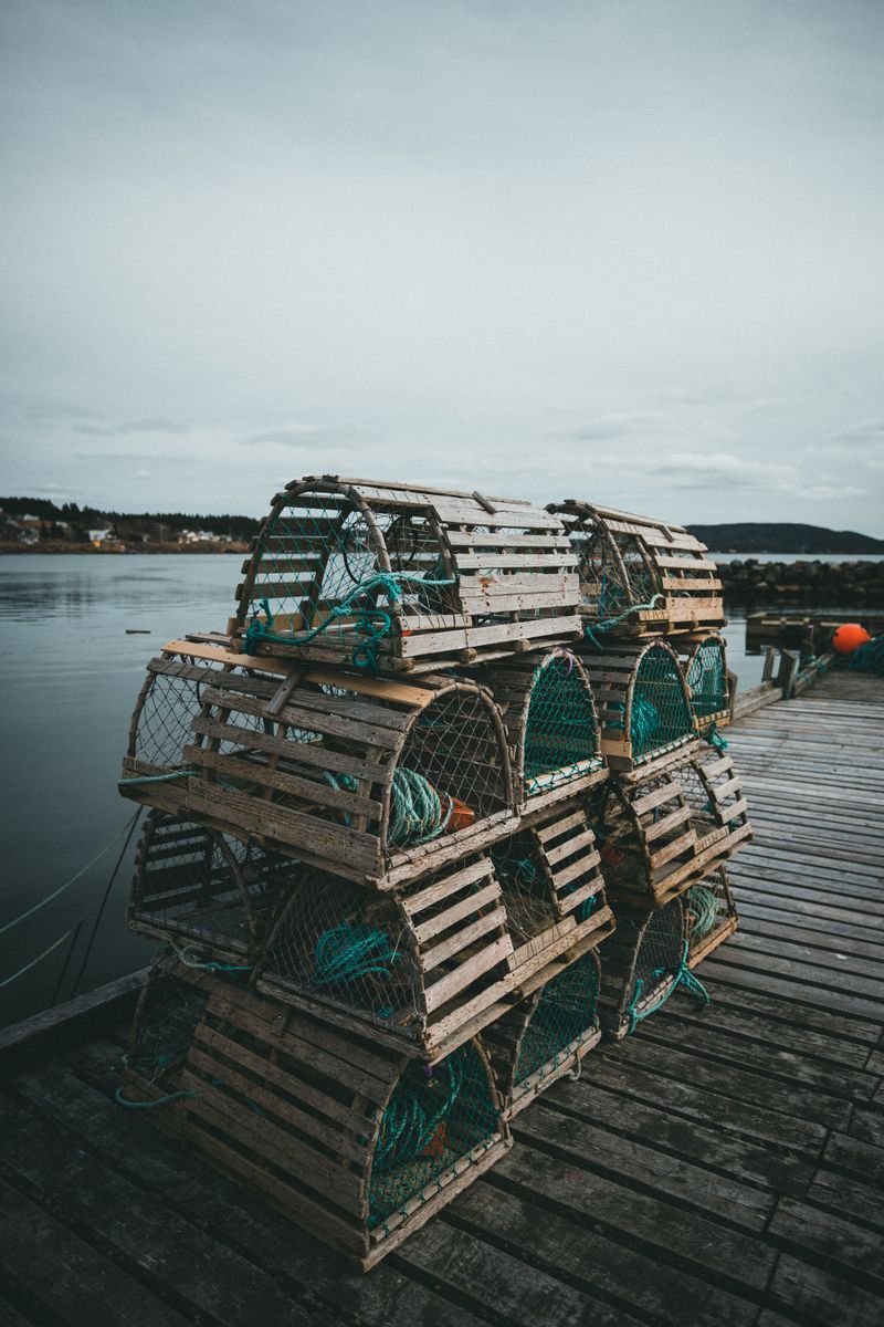 Costly Mistakes With Stacked, Unchecked Docks Costly Mistakes With Stacked, Unchecked Docks