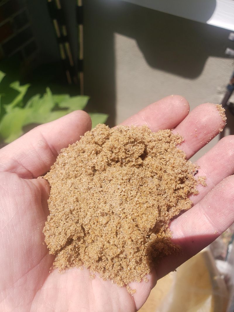 Cottonseed Meal