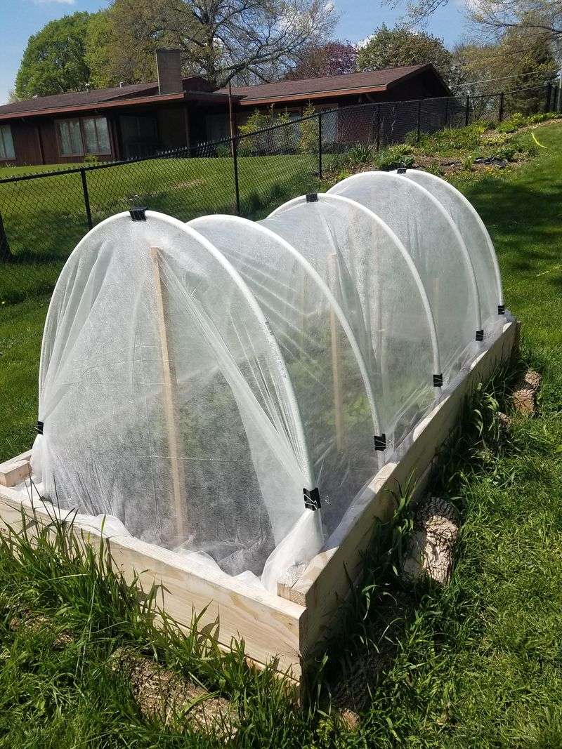 Cover Late Crops When Frost Is In The Forecast