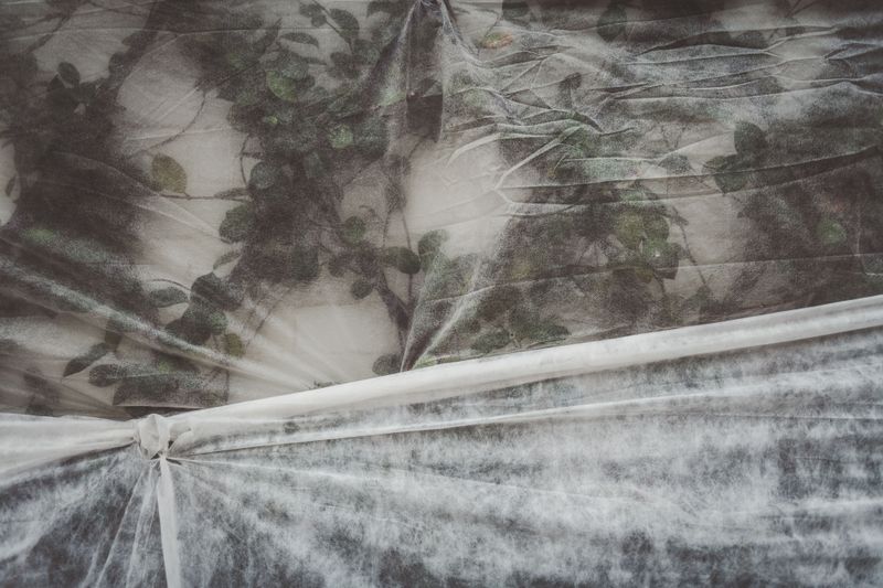 Cover The Plants On Chilly Nights